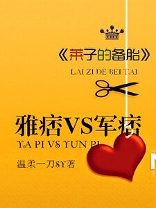 莱子的备胎:雅痞VS军痞