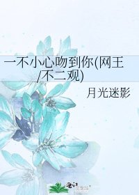 一不小心吻到你(网王/不二观)
